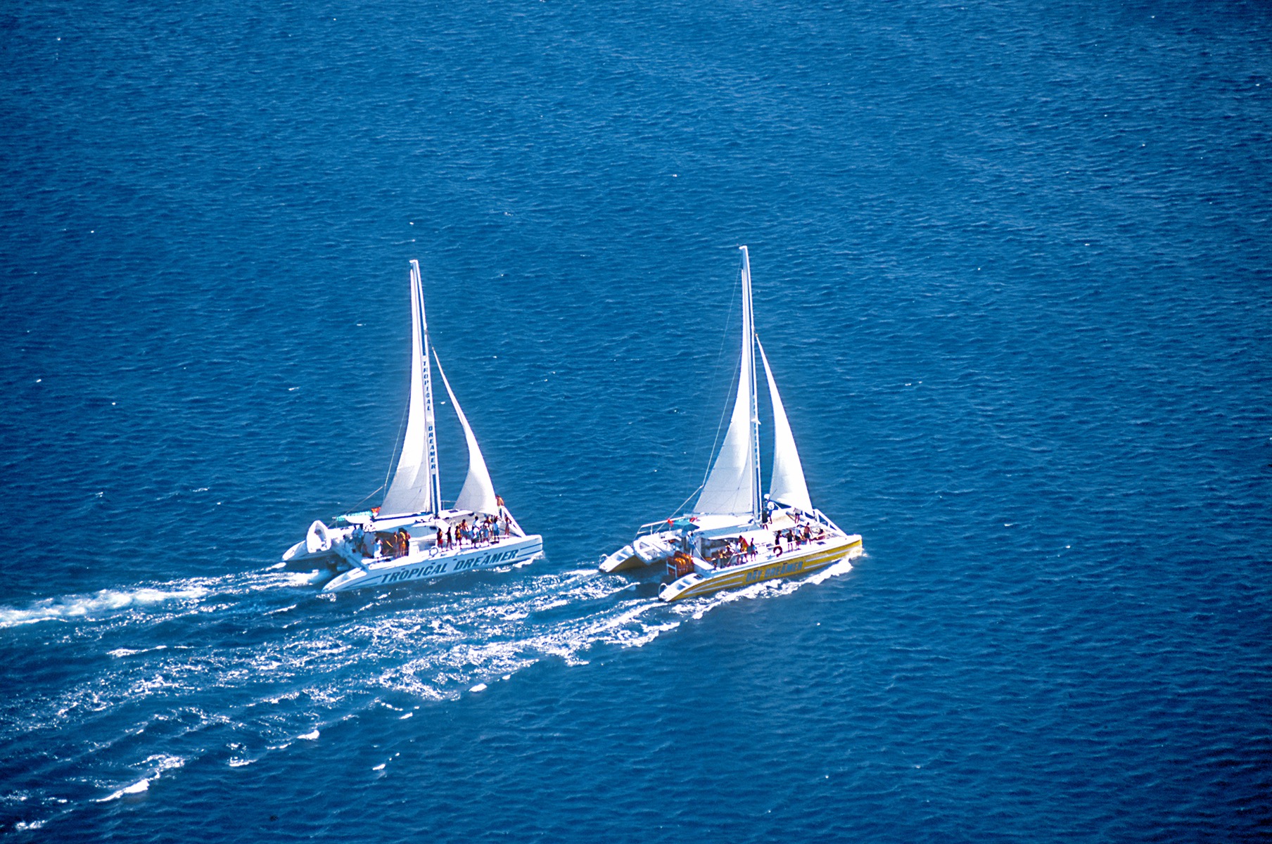 dreamer catamaran cruises